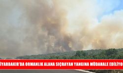 Silvan’da yangın ormanlık alana sıçradı