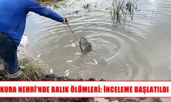 Ardahan’da Kura Nehri’nde balık ölümleri araştırılıyor