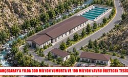Bahçesaray’a yılda 300 milyon yumurta üretecek alabalık tesisi