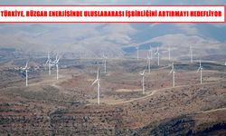 Türkiye rüzgar enerjisinde küresel işbirliğini güçlendirecek