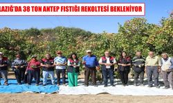 Elazığ’da Antep Fıstığında 2026 Hasadı Başladı: 38,4 Ton Rekolte Bekleniyor