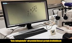 Beta-laktoglobulin üretimine ihracat şartıyla izin çıktı