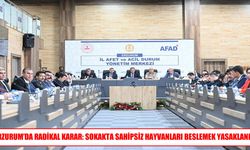 Erzurum’da Sahipsiz Hayvanların Sokakta Beslenmesine Yasak