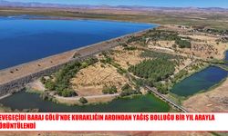 Devegeçidi Baraj Gölü’nde Bir Yılda Büyük Değişim
