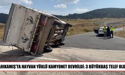 Sarıkamış’ta hayvan yüklü kamyonet devrildi: 3 büyükbaş telef oldu