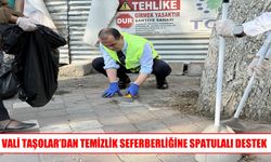 Vali Taşolar’dan örnek destek: ağaçların çevresini tek tek temizledi