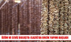 Elazığ'da orcik mesaisi başladı: Üzüm ve ceviz geleneksel lezzete dönüşüyor