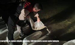 Erzurum’da iç sulara büyük dokunuş: 340 bin yavru sazan suyla buluştu