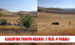 Elazığ’da pikap ile otomobil çarpıştı: 2 ölü, 4 ağır yaralı