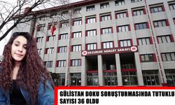 Gülistan Doku soruşturmasında 4 tutuklama daha