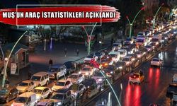 Muş’ta trafiğe kayıtlı araç sayısı artmaya devam ediyor