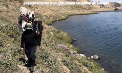 Doğaseverlerden 3 bin 500 rakımlı Sat Gölleri'ne yolculuk