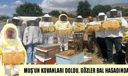 Muş’ta arıcıların kovan sayısı arttı, bal hedefi 605 tona yükseldi