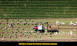 Çiftçilere tarımsal destek ödemesi müjdesi