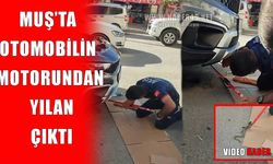 Muş’ta otomobilin motoruna giren yılanı itfaiye ekipleri çıkardı