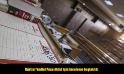 Kurtlar Vadisi Pusu dizisi hakkında inceleme başlatıldı