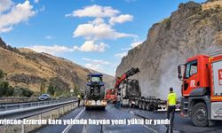 Erzincan-Erzurum kara yolunda hayvan yemi yüklü tır yandı