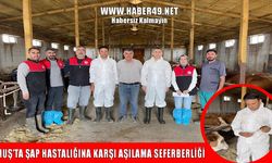 Muş’ta şap hastalığına karşı aşılama çalışmaları başladı