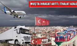 TÜİK verileri açıkladı: Muş ihracatta şahlandı!