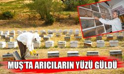 Muş'ta bal hasadı sona erdi: 290 bin kovandan 700 ton bal