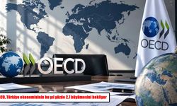 OECD, Türkiye ekonomisinin bu yıl yüzde 2,7 büyümesini bekliyor
