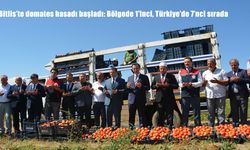 Bitlis'te domates hasadı başladı: Bölgede 1'inci, Türkiye'de 7'nci sırada