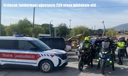 Erzincan Jandarması ağustosta 259 olaya müdahale etti