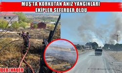 Muş’ta Muratgören ve İncebel’de anız yangını