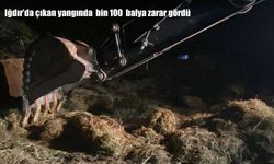 Iğdır'da çıkan yangında bin 100 balya zarar gördü