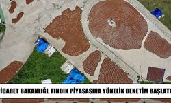 Ticaret Bakanlığı fındık piyasasını mercek altına aldı