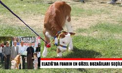 Elazığ’da buzağı güzellik yarışmasının kazananları ödüllendirildi
