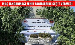 Muş jandarmasından zehir tacirlerine operasyon