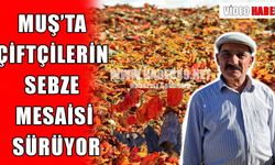 Muşlu çiftçinin ürünleri çevre illerin sofrasında