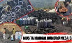 Muş’ta üretilen mangal kömürleri Türkiye'ye dağıtılıyor