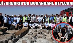 Diyarbakır’ın Güvercin Evleri Boranhaneler yeniden hayat buluyor