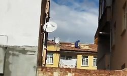 Elazığ’da çatıya halı seren kadın kamerada