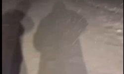 Kars’ta yaylaya mevsimin ilk karı düştü