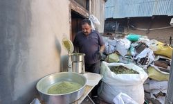 Doğanın hediyesi: 120 bitkiden oluşan zetrin baharatı yeniden keşfediliyor