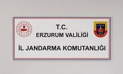 Erzurum’da siber suçlardan 25 şahıs hakkında adli işlem başlatıldı