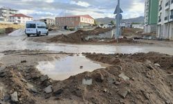 Van'da öğrencilerin okul yolunda çamur çilesi