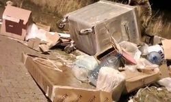 Sarıkamış'ta çöp konteynerlerinin arkasından ayı çıkıyor