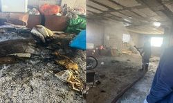 Van'da ev yangını