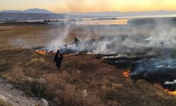 Van’da sazlık alanda yangın