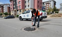 Larvayla mücadele sürüyor