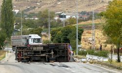 Malatya'da arı yüklü kamyon devrildi: 2 yaralı