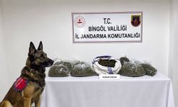 Bingöl’de jandarmadan bir haftada 25 olaya müdahale