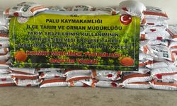 Palu'da üreticilere yüzde 70 hibeli kırmızı mercimek tohumu dağıtıldı