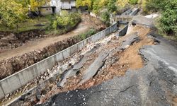 Bitlis’te yol yağışlara dayanamadı