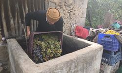 Hizan’da asırlık üzüm pekmezi geleneği sürüyor
