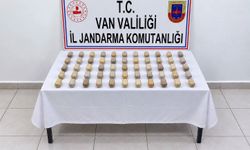 Midesinde ve bağırsaklarında 502 gram metamfetamin taşıyan şahıs tutuklandı